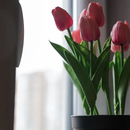 Lepojevic アパート